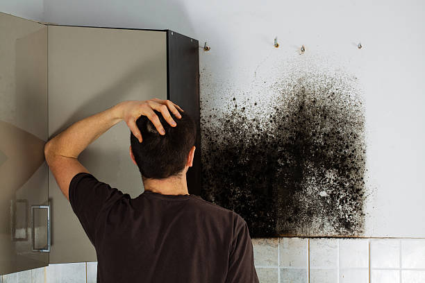Best Crawl Space Mold Removal  in Akron, IA